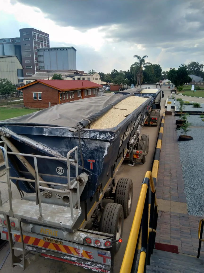 Bulk maize loaded into interlink tipping trailers at a Zimbabwean depot